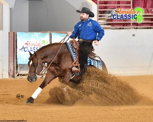 Robin Lander Rider Robin Schoeller: Rider, Trainer, and Mentor in the Reining World ...