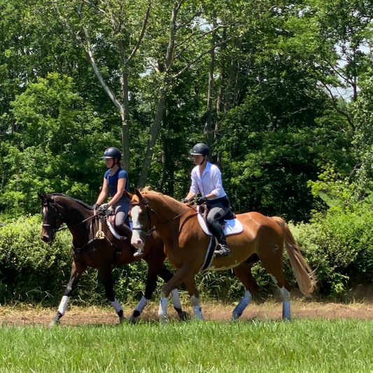 Two equestrians riding horses side by side on a grassy trail, showcasing outdoor horseback riding and equine companionship