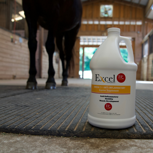 Excel Supplements Omega 3 Anti-Inflammatory equine supplement bottle displayed in a barn with a horse in the background, emphasizing joint and mobility health for horses.