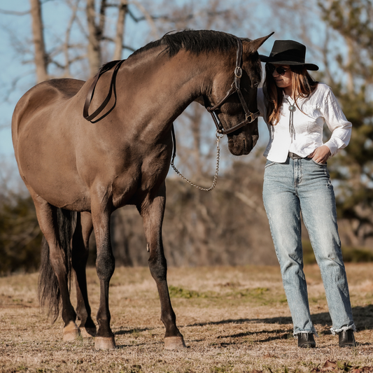Bonding with your horse
