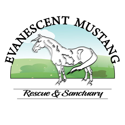 Evanescent Mustang Rescue & Sanctuary logo featuring a mustang horse, promoting wild horse rescue and sanctuary efforts