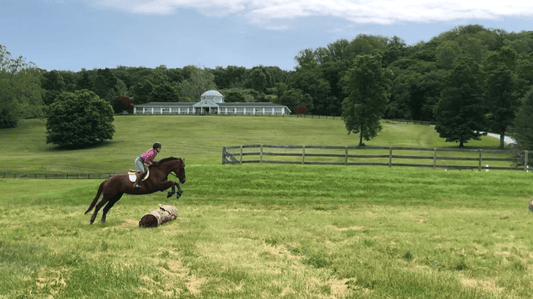 Rider jumping a rescued Thoroughbred horse over a log in a green field at Akindale Thoroughbred Rescue, promoting equine rehabilitation and adoption