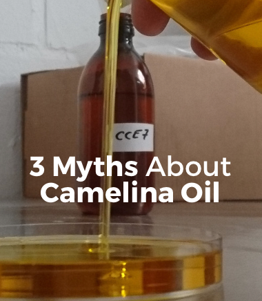 3 Myths About Camelina Oil