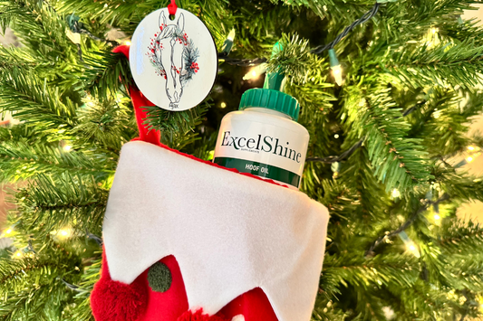 Best Stocking Stuffers For Horses & Dogs