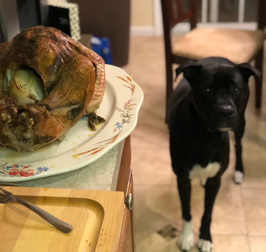 A curious dog eyeing a freshly roasted turkey, standing in a kitchen ready for a meal.