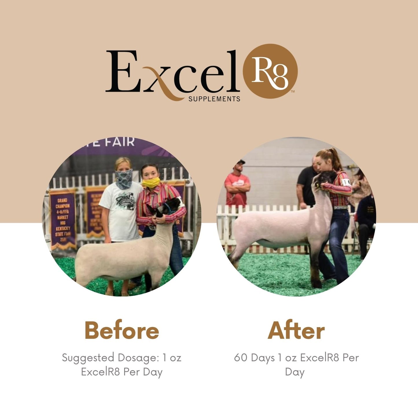 ExcelR8 Livestock Supplement