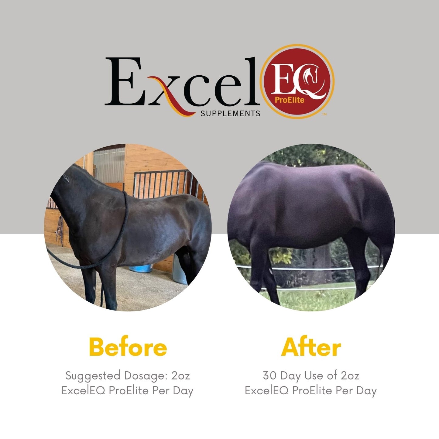 ExcelEQ ProElite Equine Performance Supplement