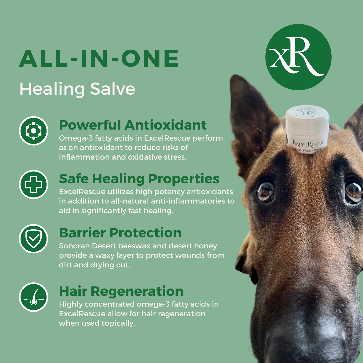 All in One Healing Salve 