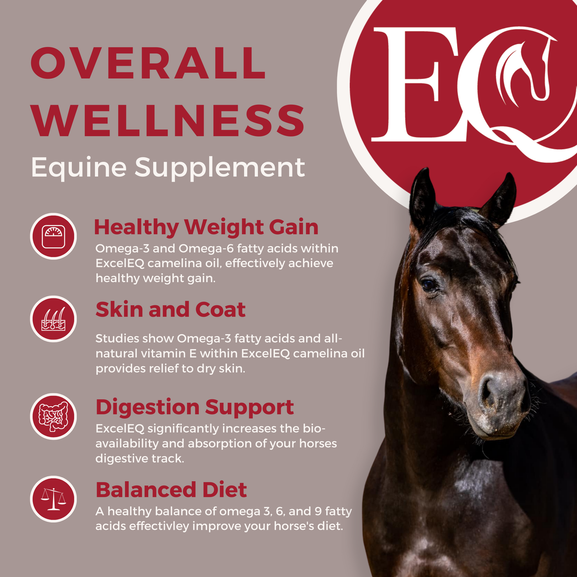 Promotional image for ExcelEQ Equine Supplement titled "Overall Wellness." The left side highlights the supplement's benefits, including healthy weight gain, improved skin and coat, digestion support, and a balanced diet. The right side features a close-up image of a dark brown horse's head and neck. The supplement's logo "EQ" is prominently displayed in the upper right corner.