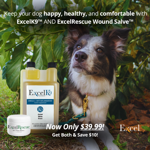 Dog Parent Savings Bundle