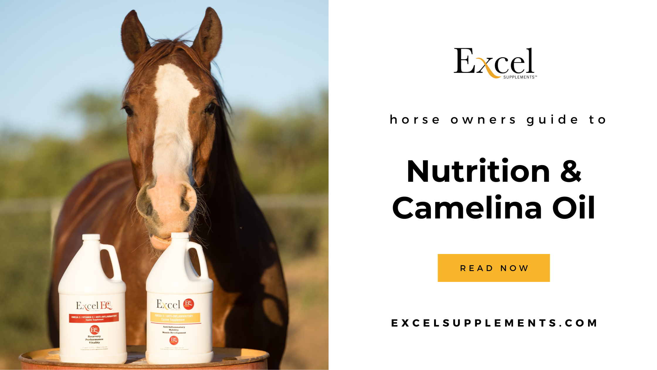Horse Nutrition Camelina Oil Excel Supplements